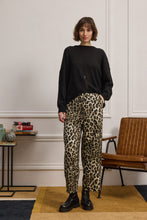 Load image into Gallery viewer, Babar